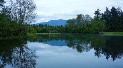 Fototapeta premium A tranquil lake reflecting the surrounding trees and mountains.
