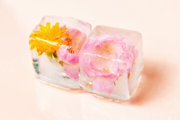 Two ice cubes with beautiful flowers frozen inside. A perfect image for beauty, spa, or refreshment concepts