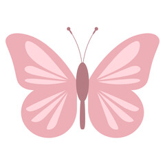 Adorable Butterfly [Recovered]