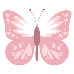 Adorable Butterfly [Recovered]