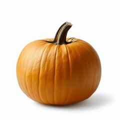Fresh Orange Pumpkin with Deep Ridges and Striated Stem Autumn Harvest Decorative Squash Centerpiece