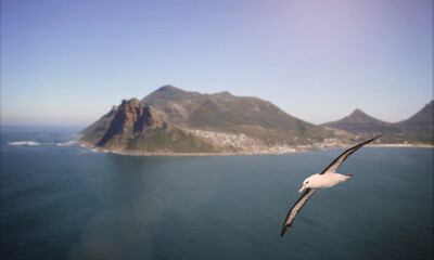 Coast of South Africa. Beautiful blue ocean with a mountain in the background.