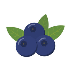 たわわに実ったブルーベリーのイラスト_blueberry