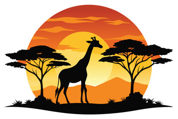 Fototapeta premium giraffe in the sunset