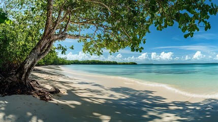 Tropical beach with clear blue water and white sand, embodying serene simplicity.
