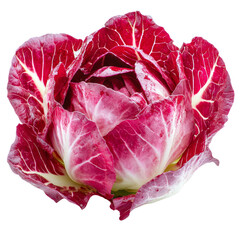 Obraz premium Fresh red cabbage with vibrant leaves and crisp texture, perfect for salads and garnishes. This vegetable adds color and nutrition to any dish
