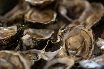 Oyster fine dining dish