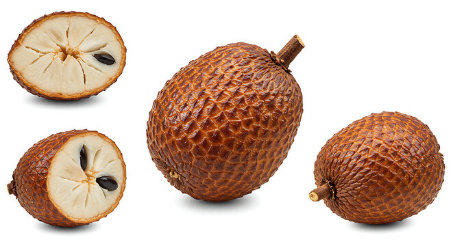 Chempedak white background