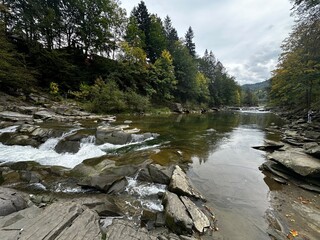 Crystal Clear River in the Forest. Wild Nature and Flowing Water