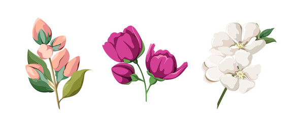 A set of fresh spring flowers on a white background. Decorative elements. Vector illustration.

