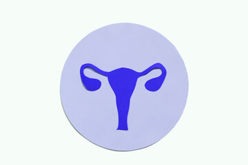 Silhouette of the anatomical uterus with blue color ovaries on a white background. Flat lay.