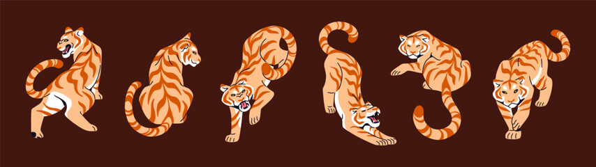 Golden tabby tiger set. Wild big cats with orange stripes are are in different poses. Bengal, Amur tigrises are angry, roaring, stretching. Dangerous jungle animals. Flat isolated vector illustrations