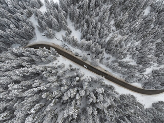 Snowy Pine Forest with Road and Car