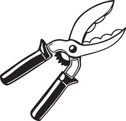 Pruners Rustic Tool for Gardening