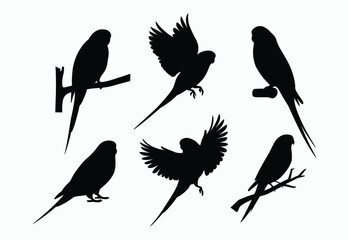 Minimalist Budgie Silhouette EPS Vector Template