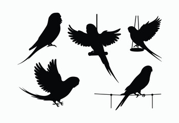 Fototapeta premium Modern Budgie Silhouette Vector Template