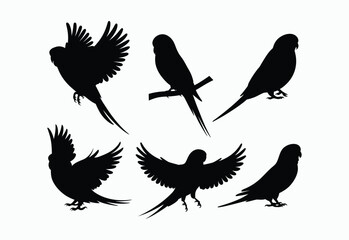 Fototapeta premium Unique Budgie Silhouette Vector Template Collection