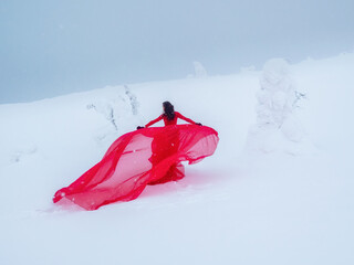 Fairy tale girl on polar winter landscape.