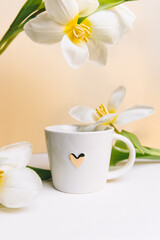 Beautiful spring background with tulip flowers and cup. Beautiful white cup with coffee and a white tulips. Composition with copy space. 
Spring composition.  Minimal flower arrangement.