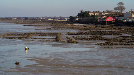 Zone portuaire à Bourcefranc-le-Chapus