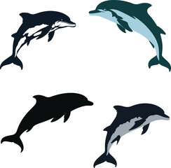 vector illustration of a dolphin fish in sea