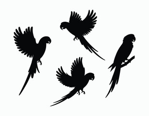 Fototapeta premium Parrot Silhouette EPS Template Artwork Collection
