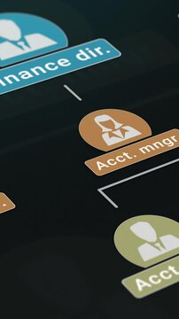corporate organization chart, team work concept, employees hierarchy, job positions (3d render) vertical video