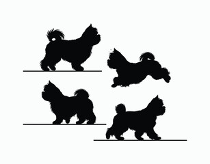 Shih Tzu pet silhouette on clean background