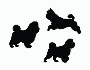 Shih Tzu silhouette on a white background