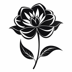 Fototapeta premium black and white flower