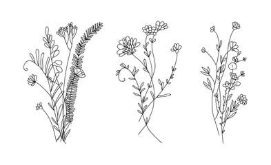 Wildflower line art bouquets set. Hand drawn flowers, meadow herbs, wild plants, botanical elements for arrangements, invitation, greeting cards, wall art, logo, tattoo design. Vector illustration.
