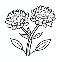 Black and White Floral Line Drawing Design