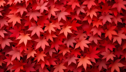 red maple leaves background