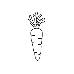 Carrot Icon: A simple, clean line art icon of a fresh carrot. A versatile image representing healthy eating and fresh produce.