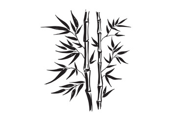 Bamboo tree on white, Hand drawn style.