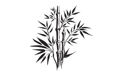 Bamboo tree on white, Hand drawn style.