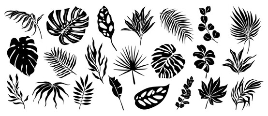 Set of black silhouettes of tropical leaves. Hand drawn elegant exotic eucalyptus, banana, strelitzia, palm, monstera leaves. Trendy botanical vector black illustrations isolated © Creative_Juice_Art