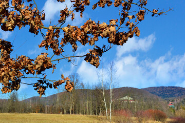 Autumn leaves on the  blurred trees mountains landscape. Fall background.