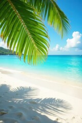 Crisp coconut leaf shadow on pristine beach, soft-focus background, background, focus, details