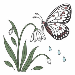 butterfly and flowers