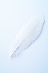 Delicate white feather rests on soft background, showcasing simp