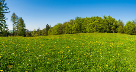 early spring and the Czech landscape