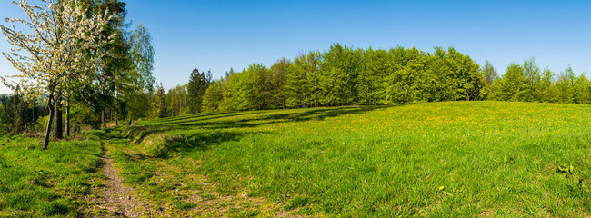 Fototapeta premium early spring and the Czech landscape