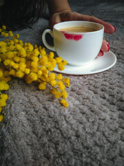 March 8 morning, women's day, congratulations. A coffee cup with a red lipstick print on a gray bed of spring mimosa. Coffee and mimosa