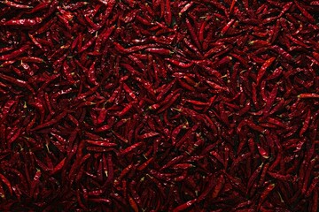 Abundance of red chili peppers filling frame. AI image