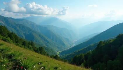 Fototapeta premium Rolling hills, dense woodland, expansive mountain panorama, vista, sky, vibrant