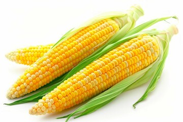 Two ears of corn with husks on white background. AI image