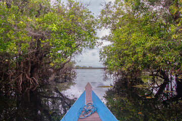 Lake Dayu with Unique Plants on it, located in Dayu Village, East Barito, Central Kalimantan,...