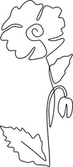 poppy line art hand drawn one line