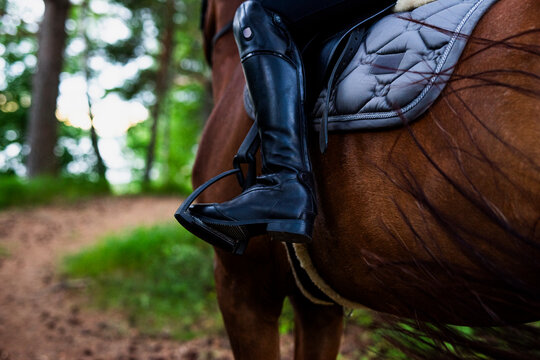 Foot of woman in stirrup astride of horse
